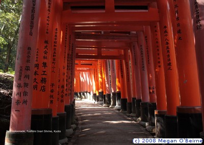 06,Torii colonnade, Fushimi Inari Shrine, Kyoto