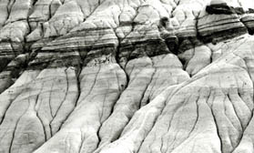 Drumheller badlands 21