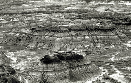 Drumheller badlands 36