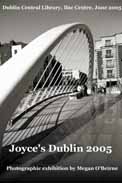 James Joyce Bridge, Dublin, photograph (c) Megan O'Beirne 2005