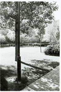 Photograph of Square James Joyce, Paris, France (c) 2003 Megan O'Beirne