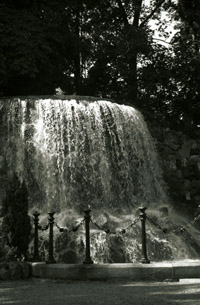 Fountain in Iveagh Gardens (c)2004 Megan O'Beirne